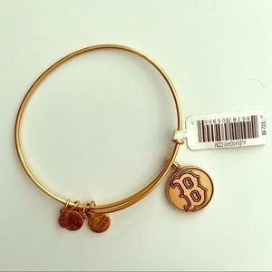 Alex and Ani Gold Red Sox charm bracelet